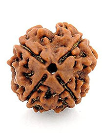 Four Mukhi Rudraksh 