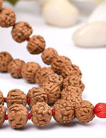 Rudraksha For Good Health