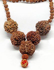 Rudraksha For Love