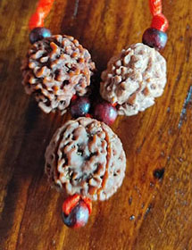 Rudraksha For Education