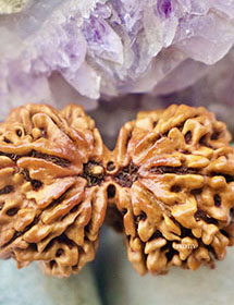 Rudraksha For Marriage